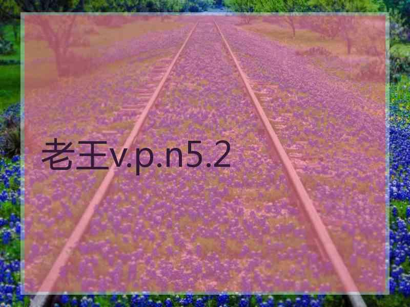 老王v.p.n5.2